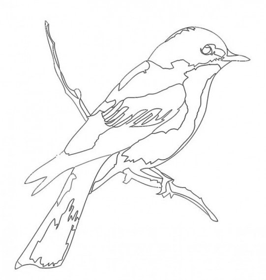 modele de marqueterie l oiseau marquetry pattern the bird 0 modele de marqueterie l oiseau marquetry pattern the bird 0