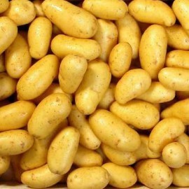 prevenir les carences de potassium pendant un regime 0