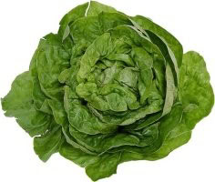 conservez plus longtemps vos legumes verts 0 conservez plus longtemps vos legumes verts 0