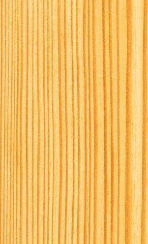 les bois le meleze 0