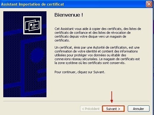 ajouter un certificat sous internet explorer 8 0 3