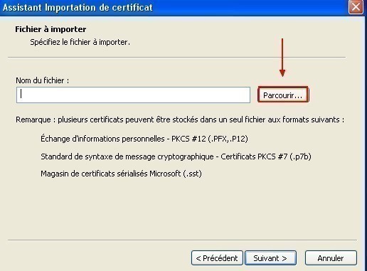 ajouter un certificat sous internet explorer 8 0 4