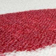 nettoyer tache de sang sur draps et tissus 0