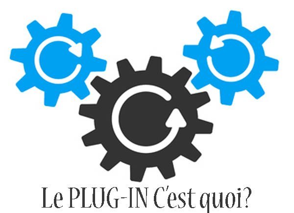 le plug in c'est quoi