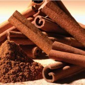 empechez votre chat de deterrer vos plantes 0