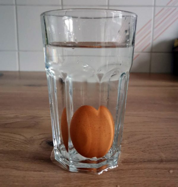 Comment savoir si un oeuf est encore bon ? Astuces Pratiques