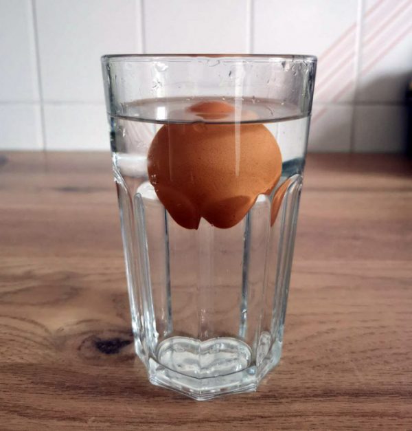 Comment savoir si un oeuf est encore bon ? Astuces Pratiques