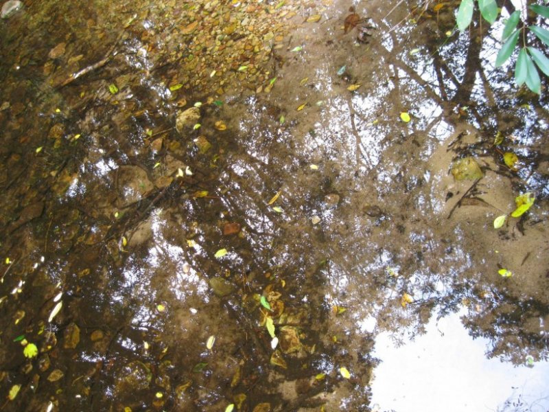 vivre sa jeunesse bien